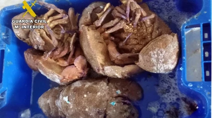 Desarticulado un grupo de pesca furtiva con 300 kilos de capturas ilegales en la reserva marina de Tabarca