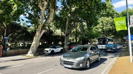 Coches y un autobús pasando bajo frondosos árboles en una concurrida calle de Málaga