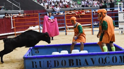 Grand Prix de peñas en Zamora