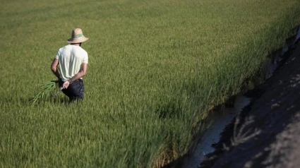 La anunciada ola de calor urge a implementar medidas de seguridad