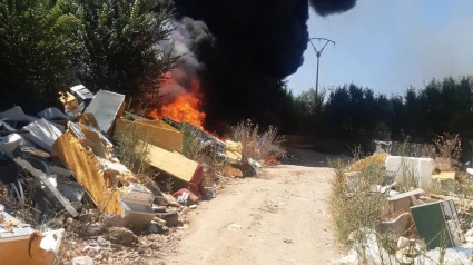 Incendio declarado en el Cerro de los Palos