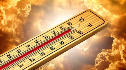 termómetro de calor