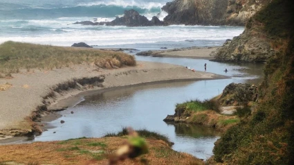 La playa de Frejulfe, en Navia, una de las que cuenta con bandera azul