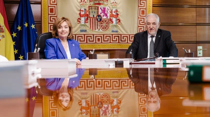 El presidente del Tribunal Constitucional, Cándido Conde-Pumpido y la vicepresidenta del Tribunal Constitucional, Inmaculada Montalbán Huertas