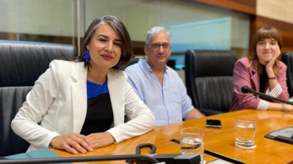 Irene de Miguel