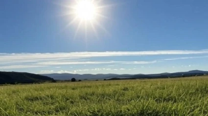 Sol radiante