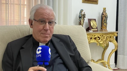 Saiz Meneses