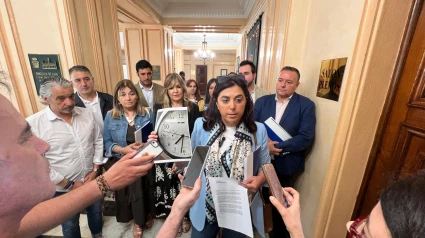 Elena Candia antes de entrar al pleno