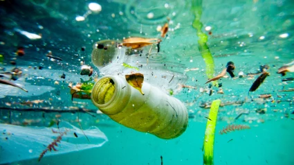 Basura flotando en el mar y contaminando el agua
