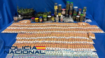 Desmantelada una plantación de marihuana en pleno centro de Mérida