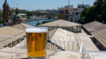 Cerveza española