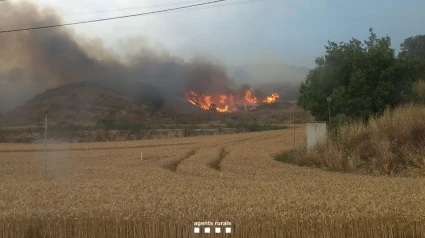 Incendio