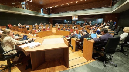 Comisión de investigación en Navarra