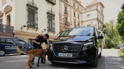 Policia cumbre
