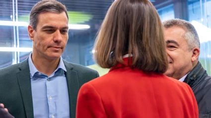 Pedro Sánchez y Santos Cerdán