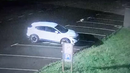 La marta en acción en el coche del Gobierno de Cantabria