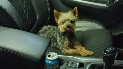 Lucas