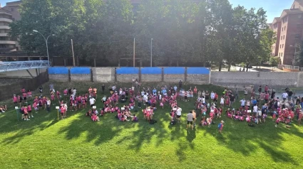 Escuela de Verano 2025
