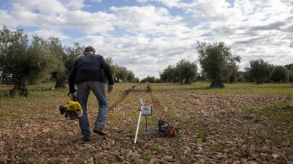 Un agricultor de Córdoba creyó que era chatarra en medio del campo y un año después sus hermanas descubren su verdadero valor