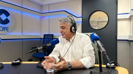 Javier de Andrés, presidente del PP vasco
