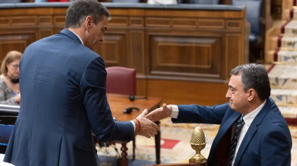 JAVIER DE ANDRÉS, PRESIDENTE DEL PARTIDO POPULAR VASCO, EN TRECE