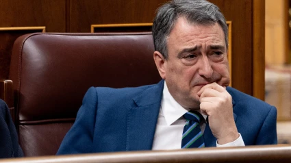 El portavoz del PNV en el Congreso, Aitor Esteban