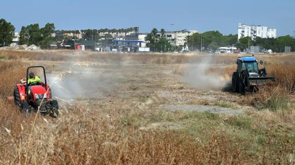 Trabajos de desbroce en Jerez