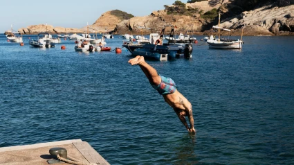 Una zambullida en la playa