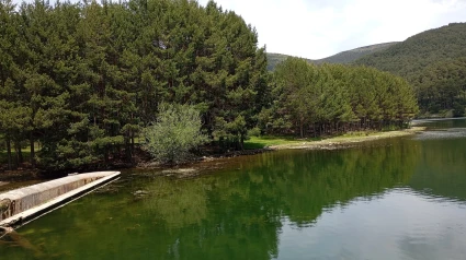 El Tejo