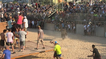 Susto pero sin cornadas en el primer día de Bous a la Mar