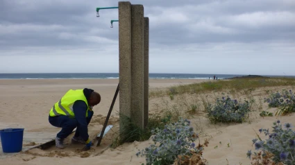 Operario realizando tareas en las playas de Valdoviño