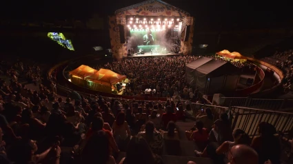 Dipufest