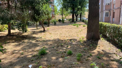 Los jardines están realmente secos