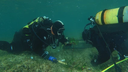 Restauración posidonia Fonrells