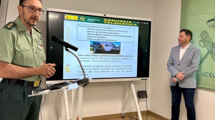 Presentación Denuncia Telemática
