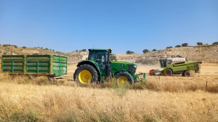 Cereal en Los Vélez