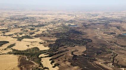 Zona on es van aturar les flames de l'incendi de Torrefeta i Florejacs
