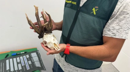 Un agente muestra el trofeo de un cazador investigado por matar a un corzo de manera ilegal en Jerez