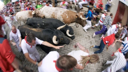 CC14RW Crowds running with bulls during the annual festival of San Fermin (aka the running of the bulls) in Pamplona, Spain.