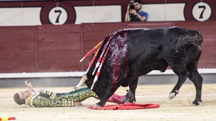 Instante del percance sufrido por Mariscal Ruiz en Las Ventas