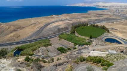 Oasis Wildlife y la Universidad de La Laguna (ull) colaboran para transformar la depuración natural de agua en una herramienta de adaptación climática