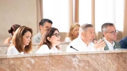 Pleno del Ayuntamiento.