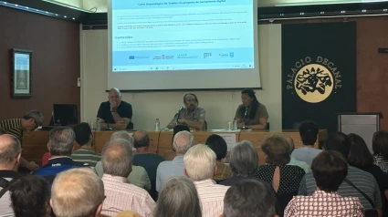 Presentación