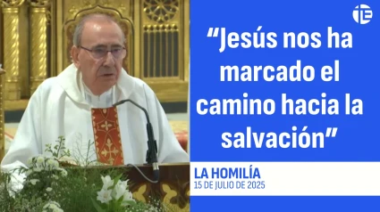 Homilía 15 de julio de 2025