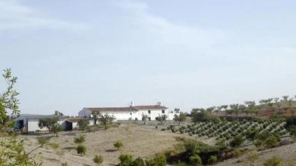 Imagen de la pedanía lorquina de Zarzalico, donde los vecinos reclaman abastecimiento de agua potable