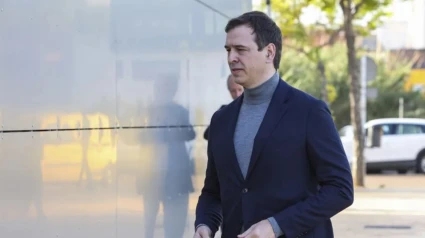 David Sánchez, hermano del presidente del Gobierno. EFE/Jero Morales/Archivo