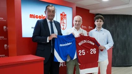 FIRMA_MICOLCHON_1