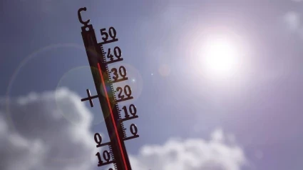 Irene Cortés, directora general de Protección Civil y Emergencias de Castilla y León, explica en Herrera en COPE los consejos ante un nuevo episodio de calor