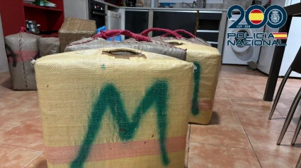 Alijo de droga incautado en Puerto Real (Cádiz)