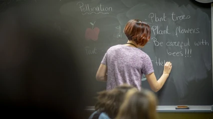 Profesora